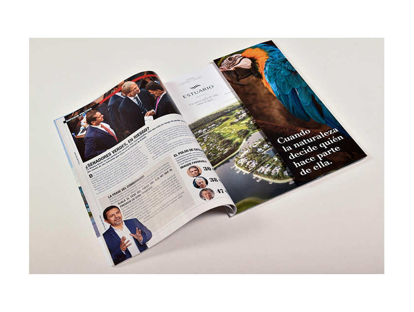 ejemplo formato gatefold 24