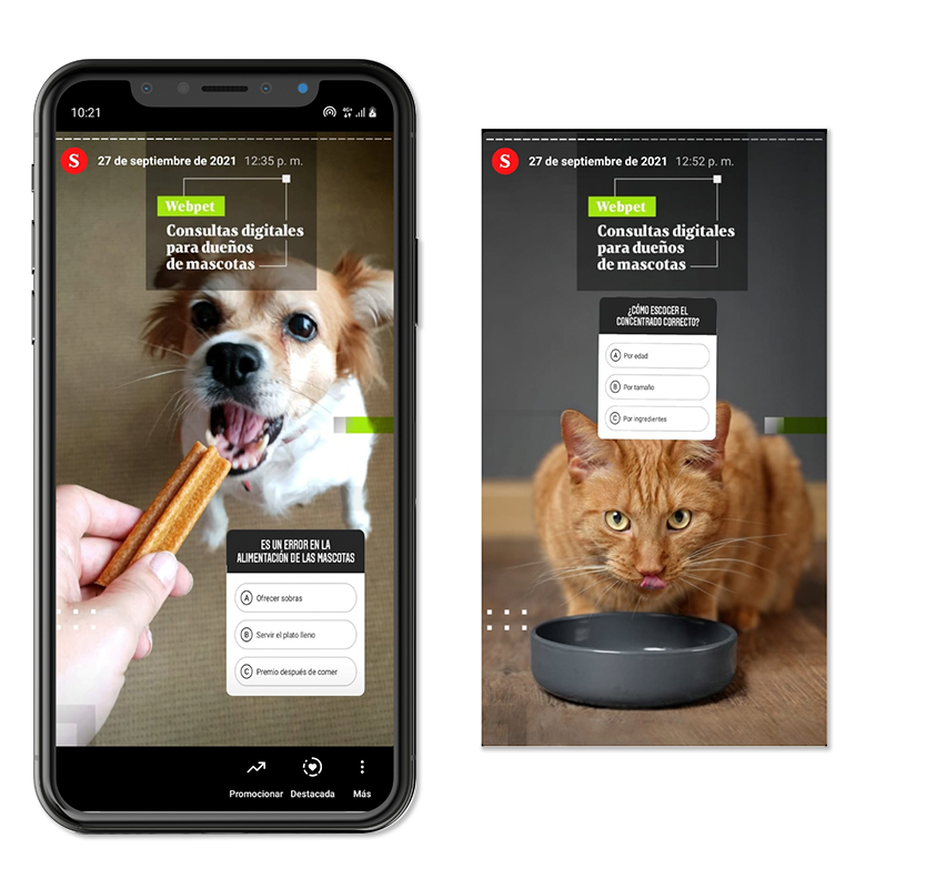 galeria ejemplo formato en imagen