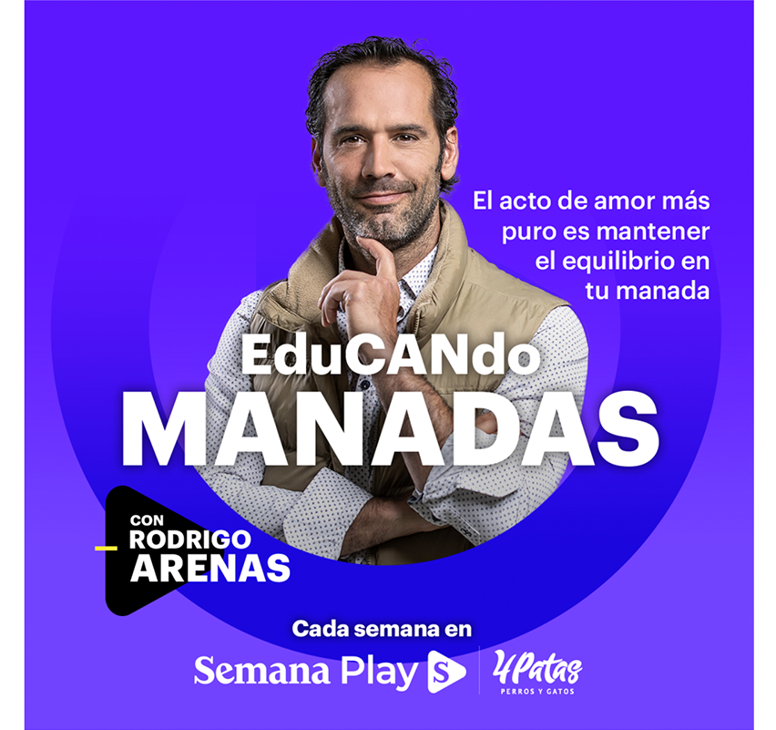 imagen de Educando manadas