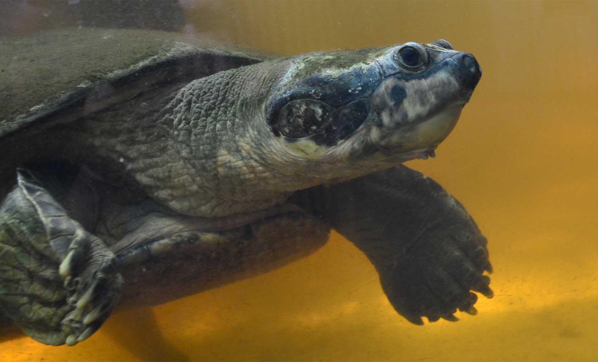 Fotos de la semana - Especiales Semana