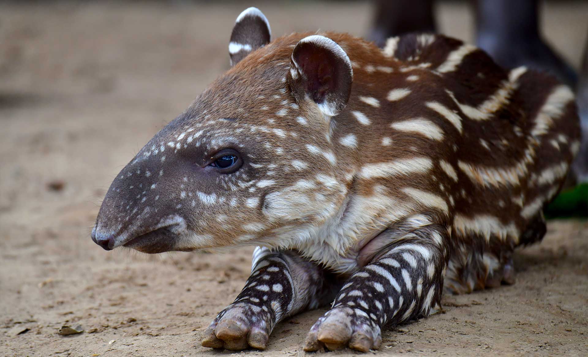 Fotos de la semana - Especiales Semana