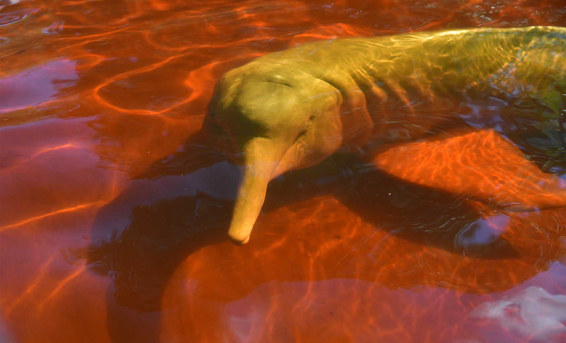 Fotos de la semana - Especiales Semana