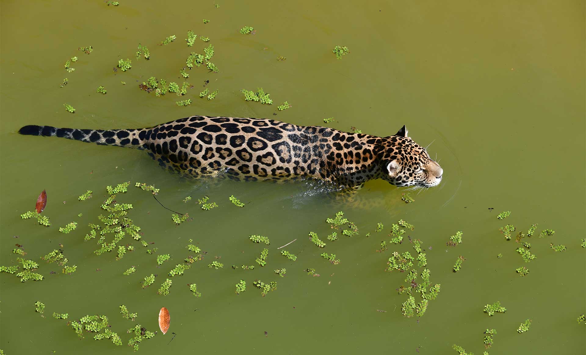 Fotos de la semana - Especiales Semana