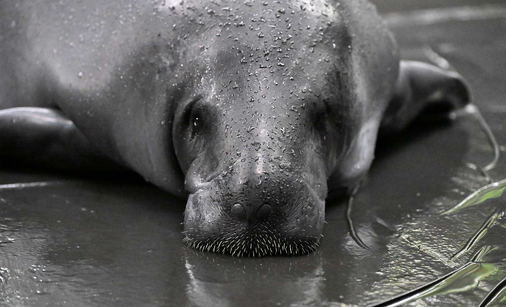 Fotos de la semana - Especiales Semana