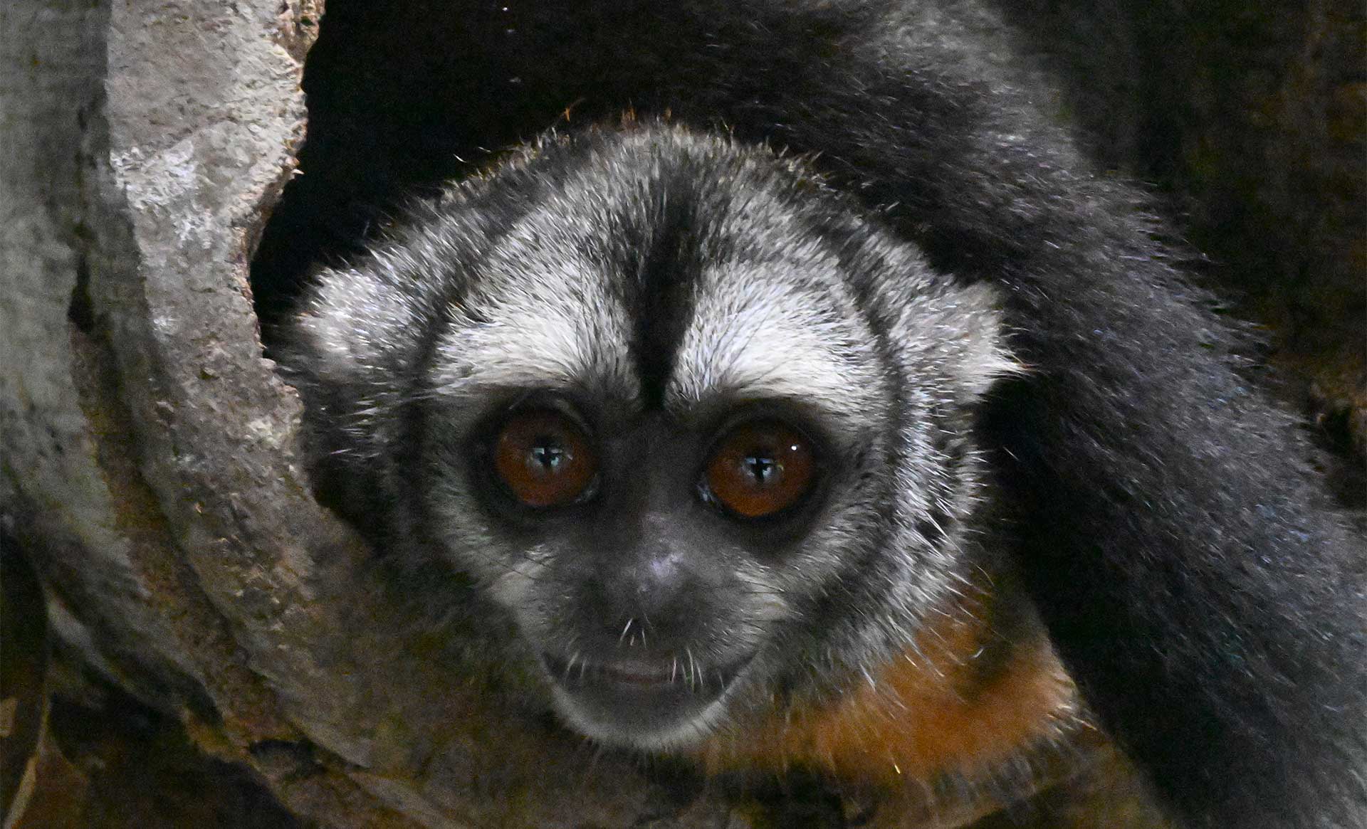 Fotos de la semana - Especiales Semana