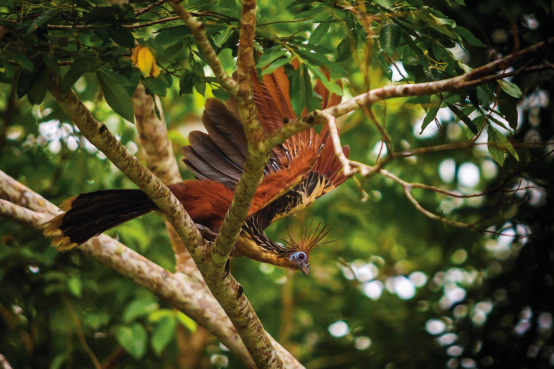 Fotos de la semana - Especiales Semana