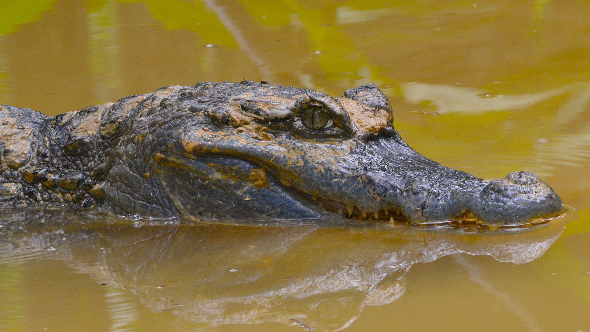 Fotos de la semana - Especiales Semana