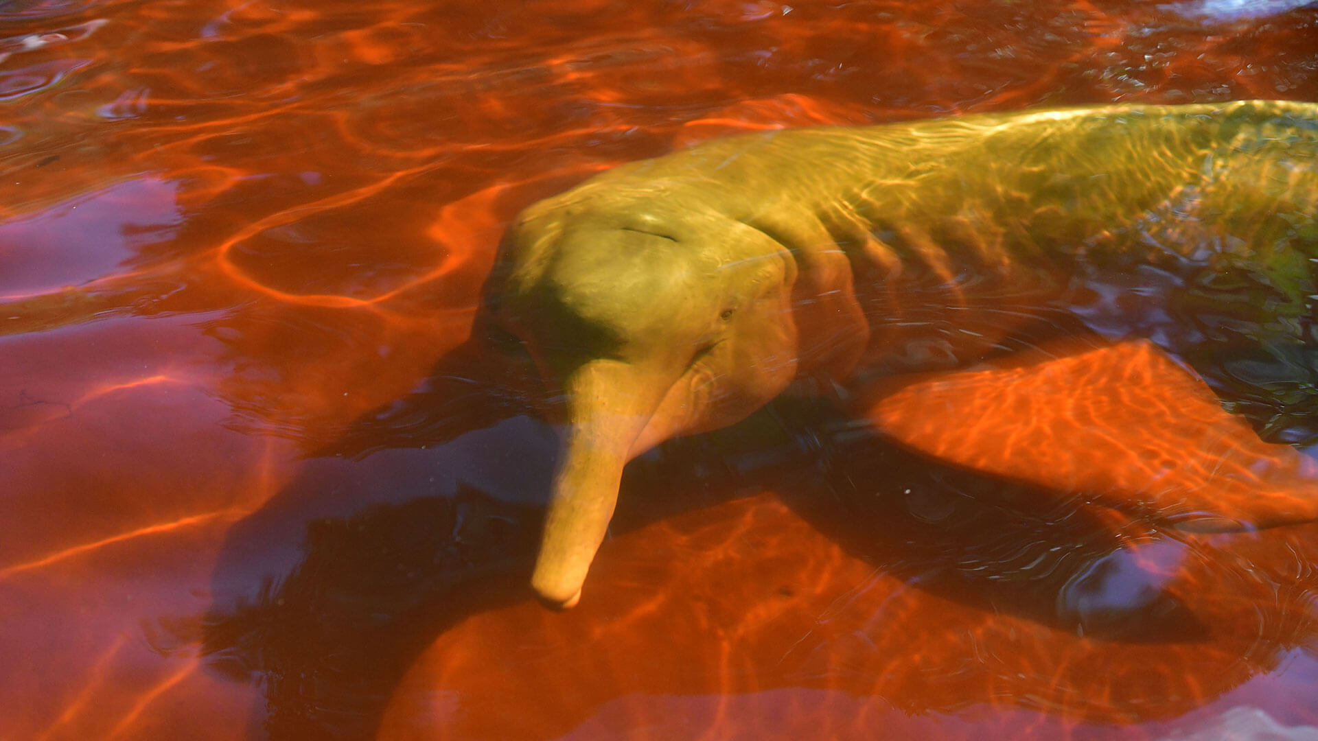 Fotos de la semana - Especiales Semana