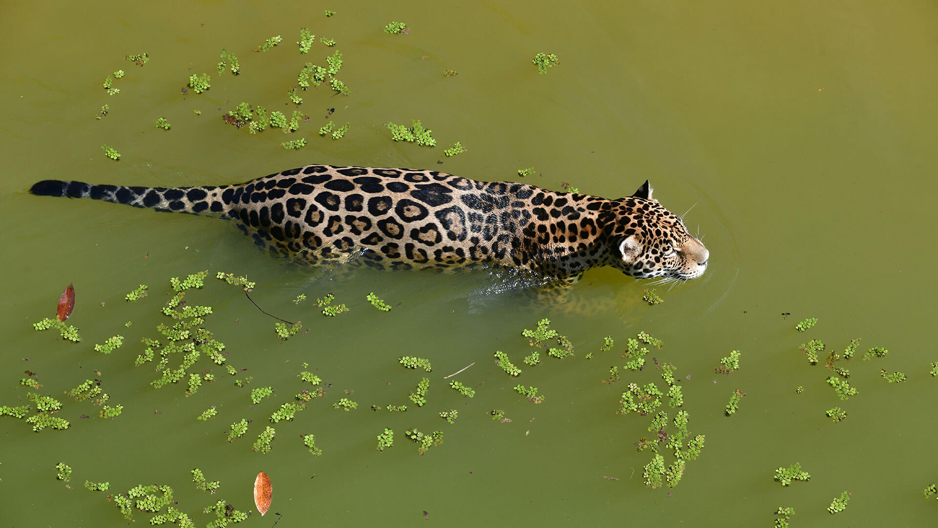 Fotos de la semana - Especiales Semana