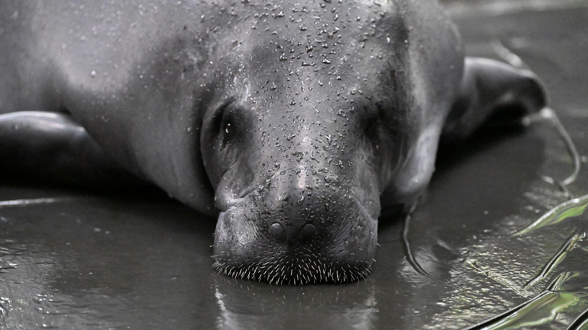 Fotos de la semana - Especiales Semana