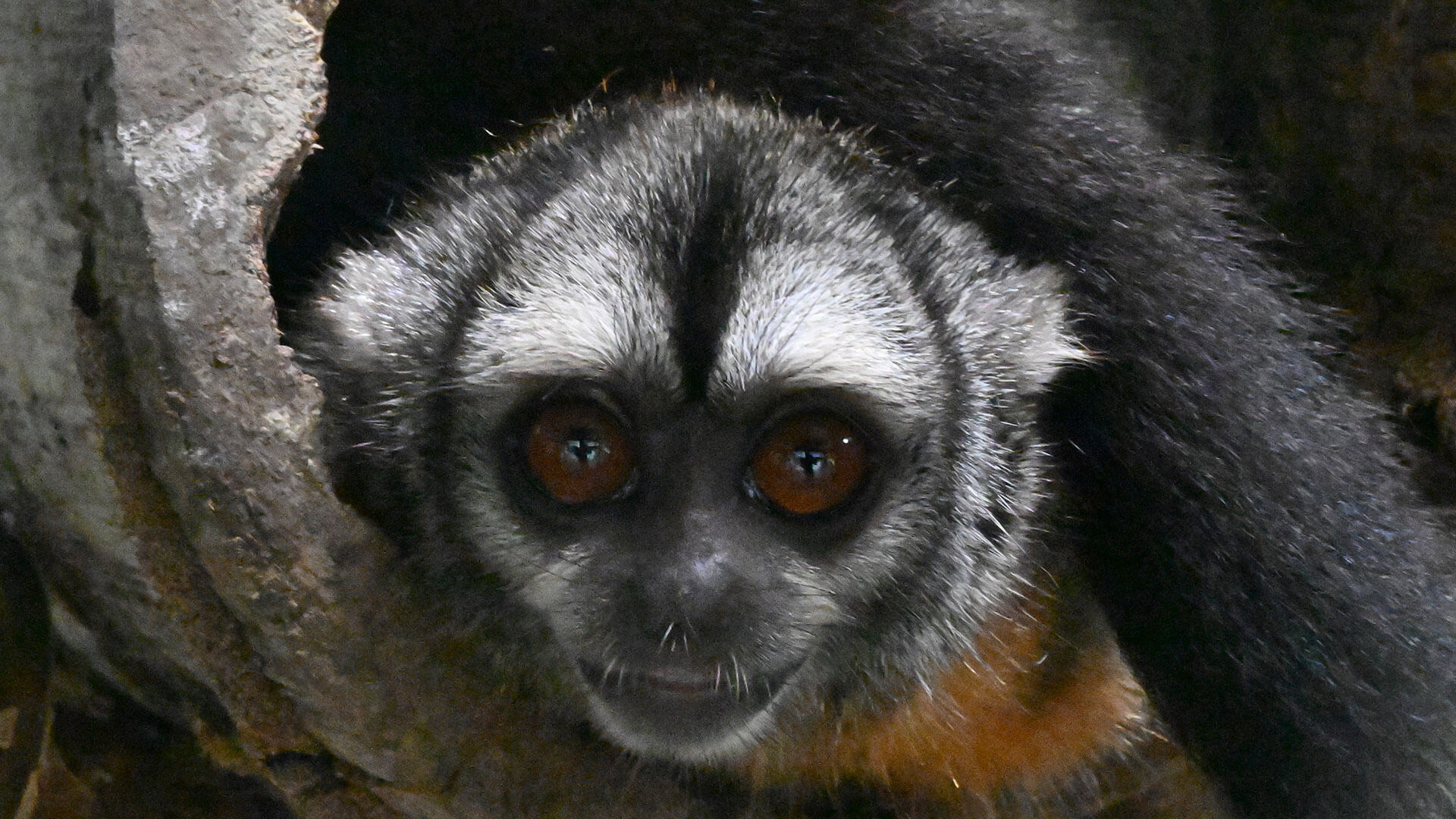 Fotos de la semana - Especiales Semana