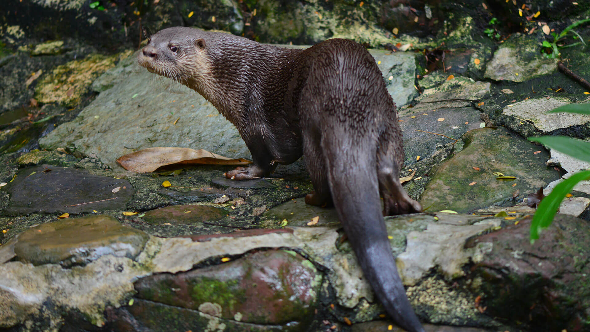 Fotos de la semana - Especiales Semana