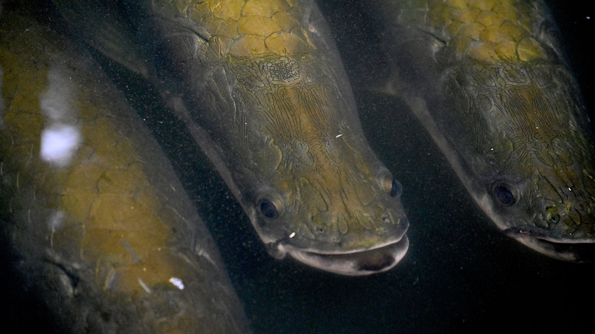 Fotos de la semana - Especiales Semana