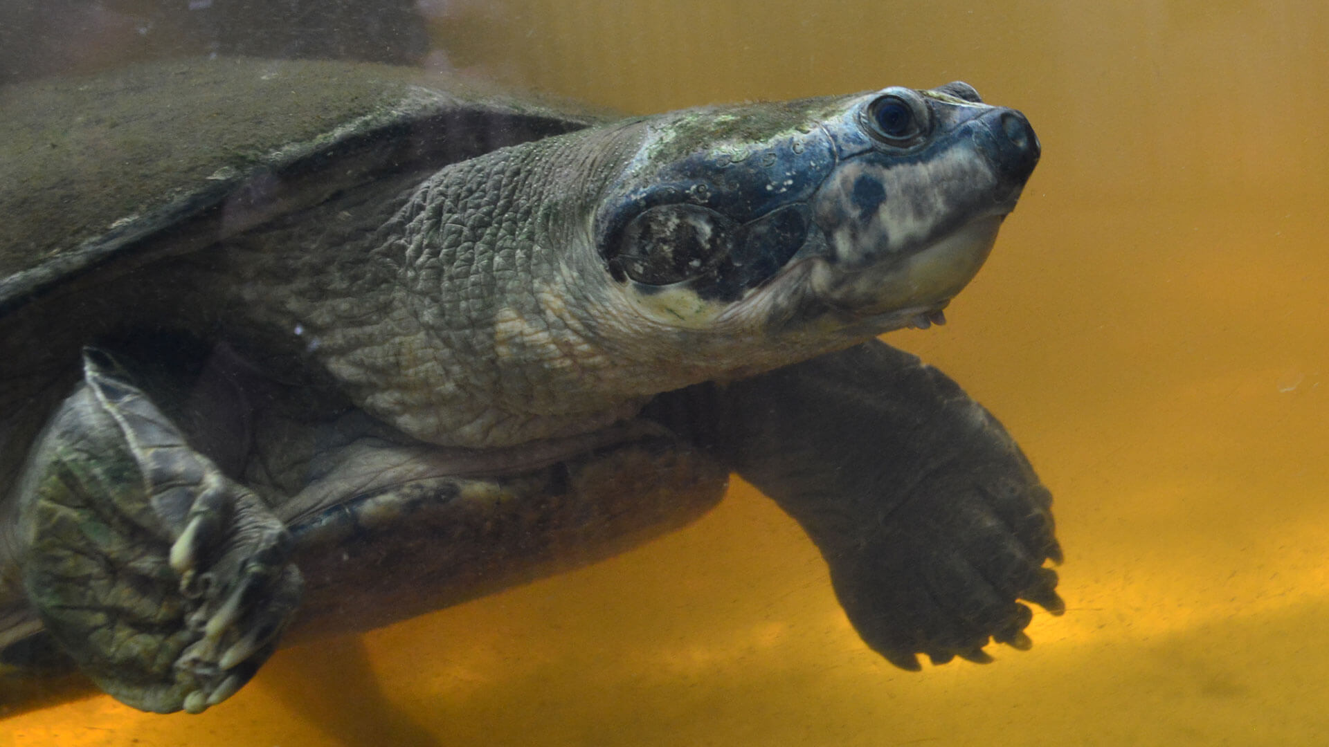 Fotos de la semana - Especiales Semana