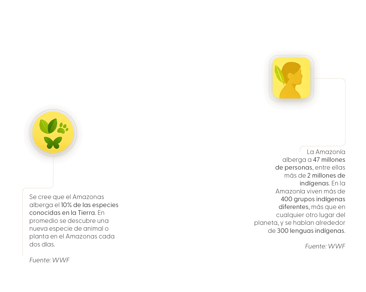  Amazonas, ¿ahora más protegido gracias a la bioeconomía?