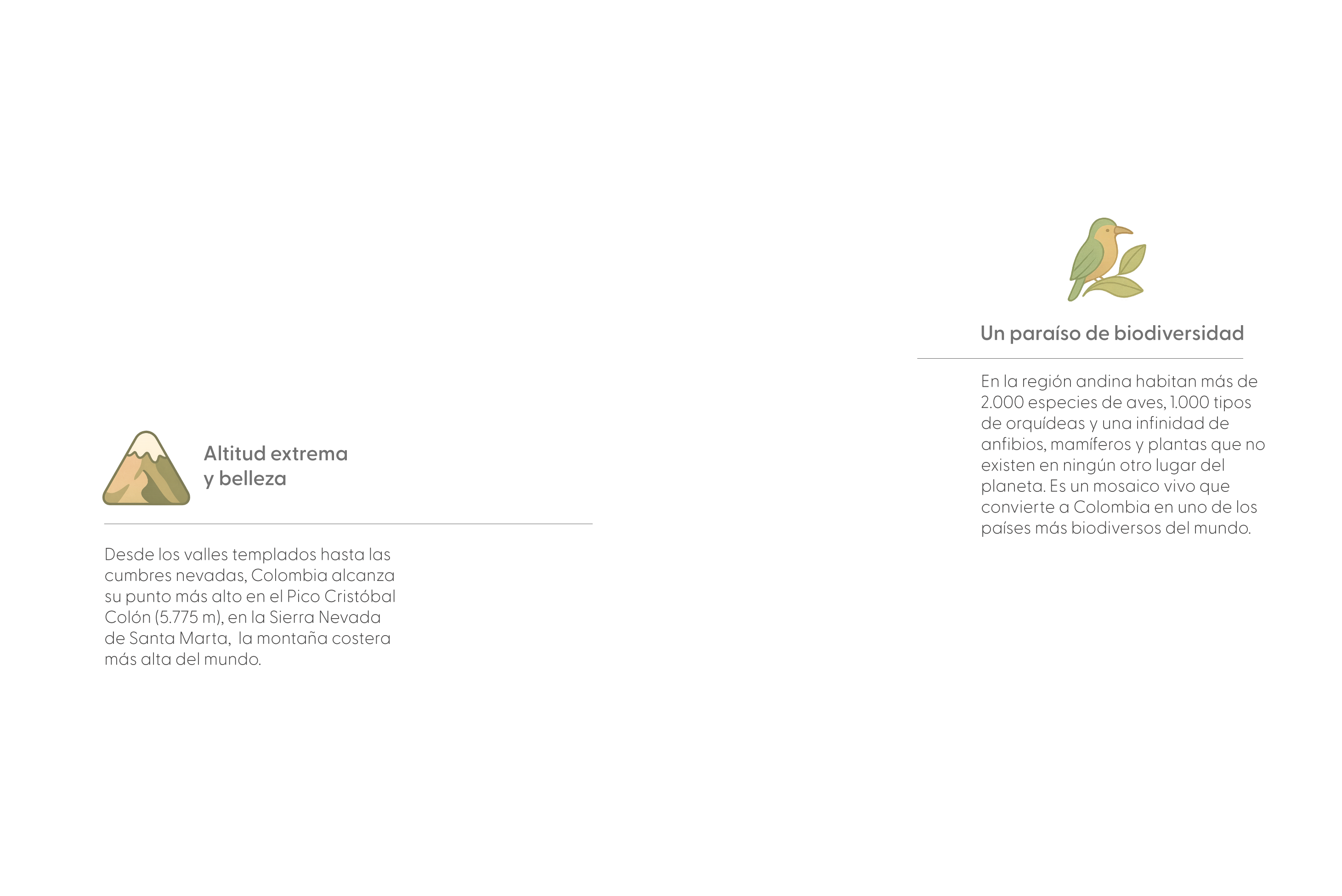  Andes: la ruta de la vida