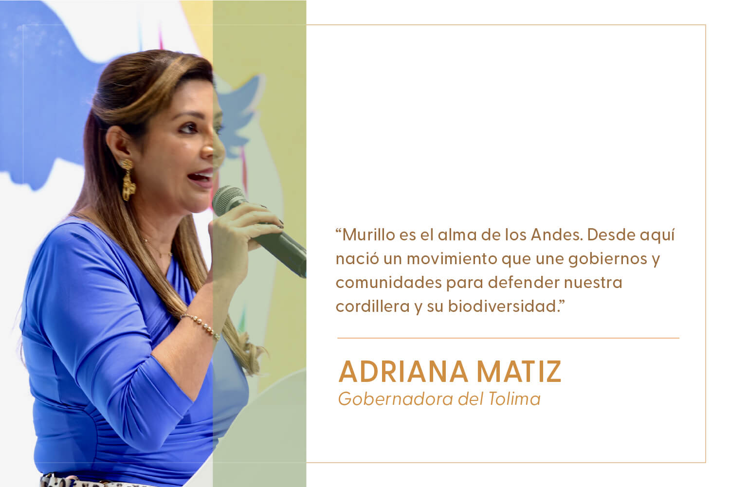 Especial Tolima: La voz de la cordillera