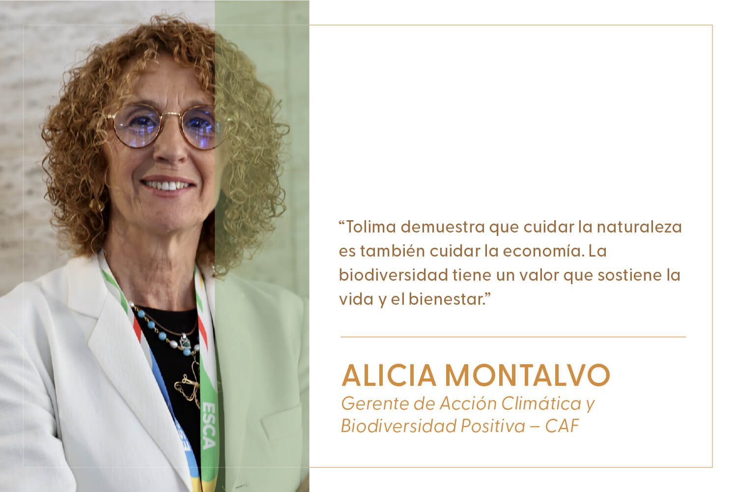 Especial Tolima: La voz de la cordillera