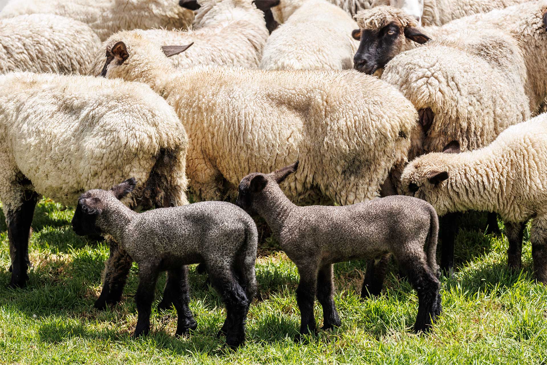 Fotos de la semana - Especiales Semana