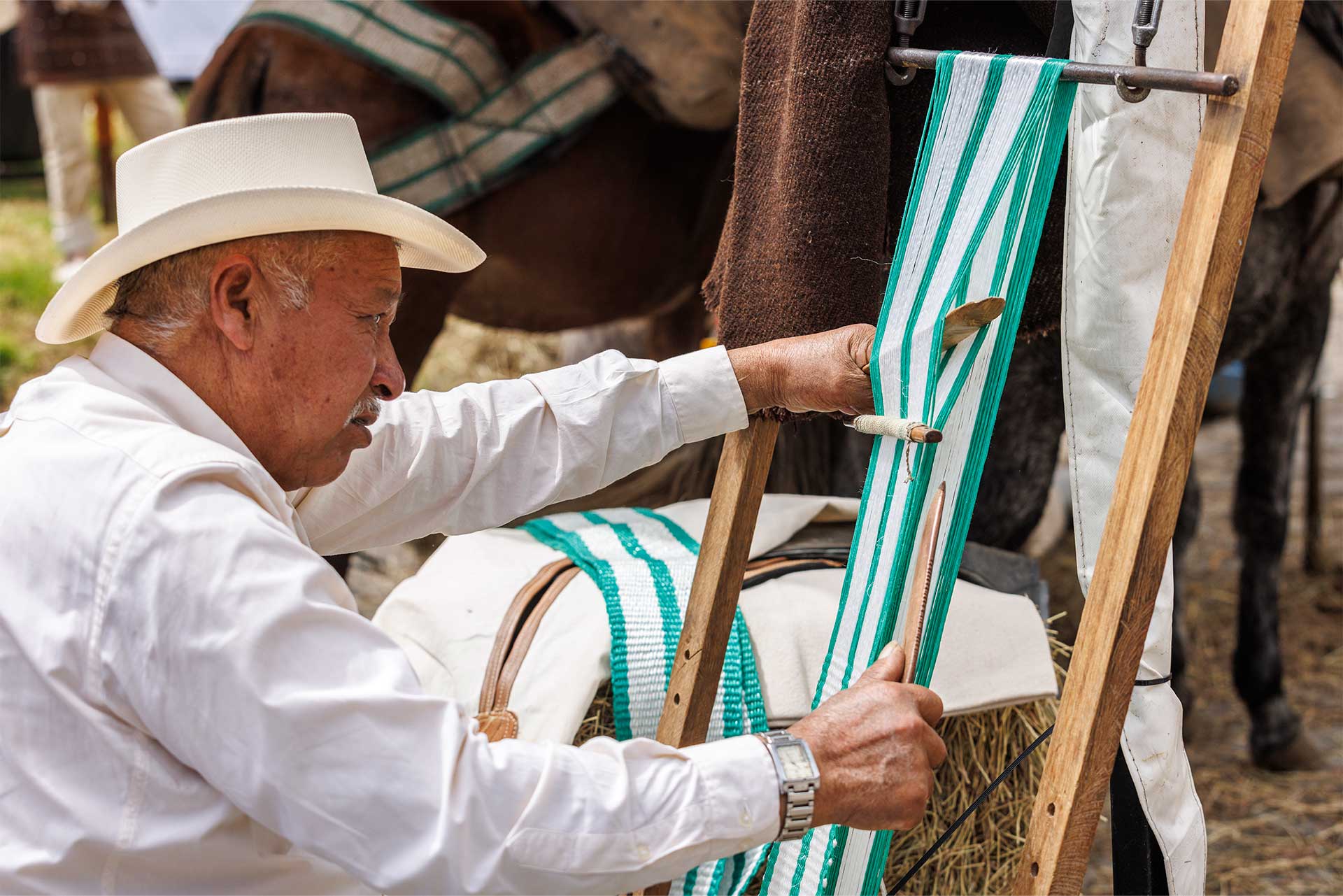 Fotos de la semana - Especiales Semana