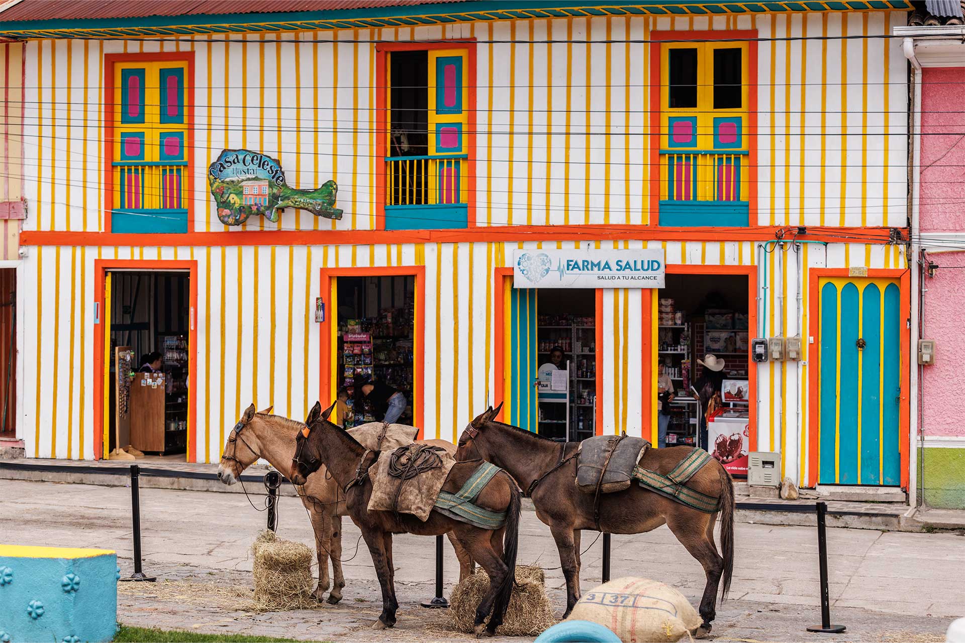 Fotos de la semana - Especiales Semana