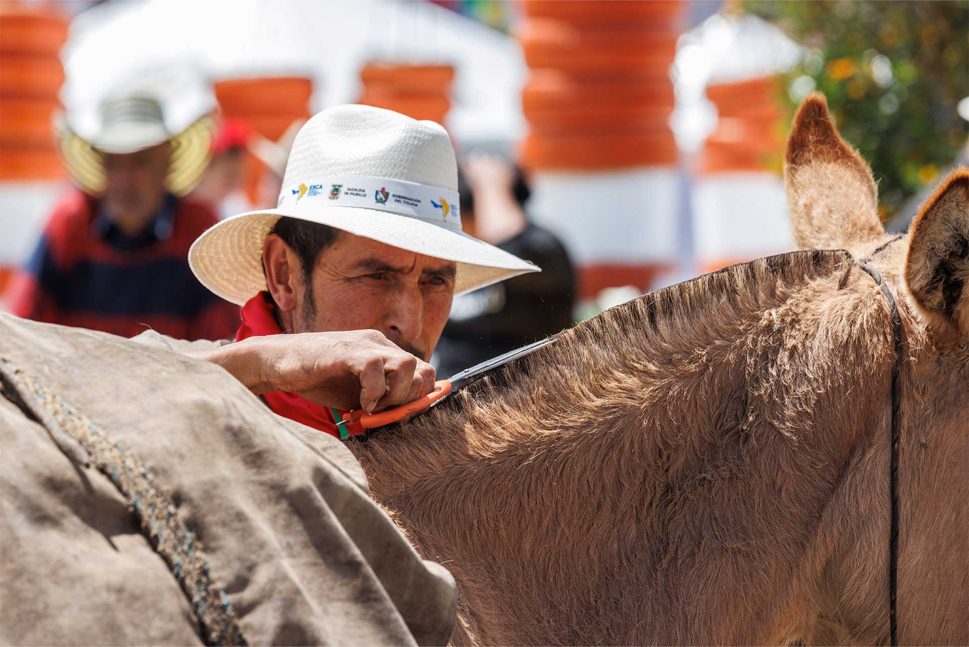 Fotos de la semana - Especiales Semana