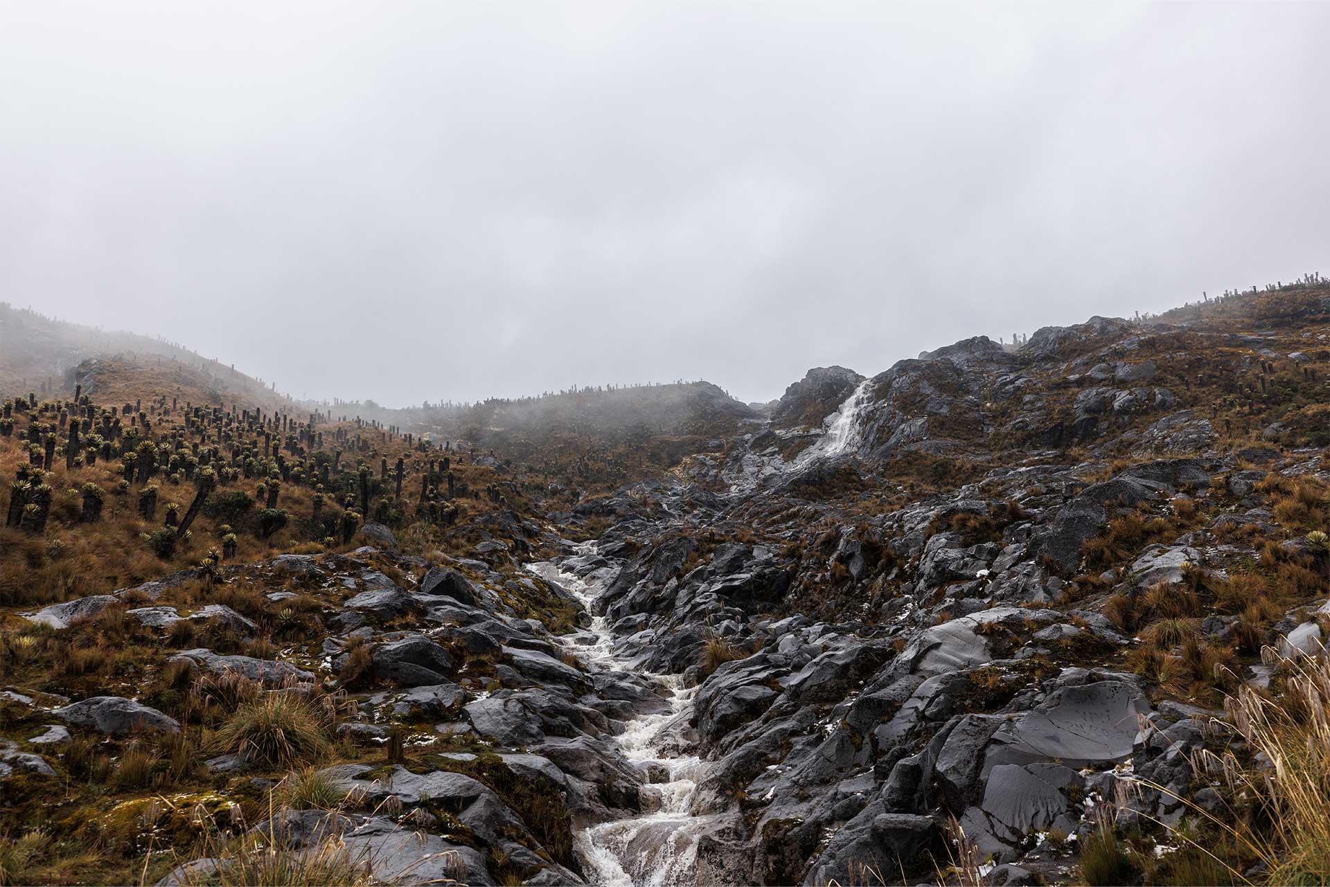 Fotos de la semana - Especiales Semana