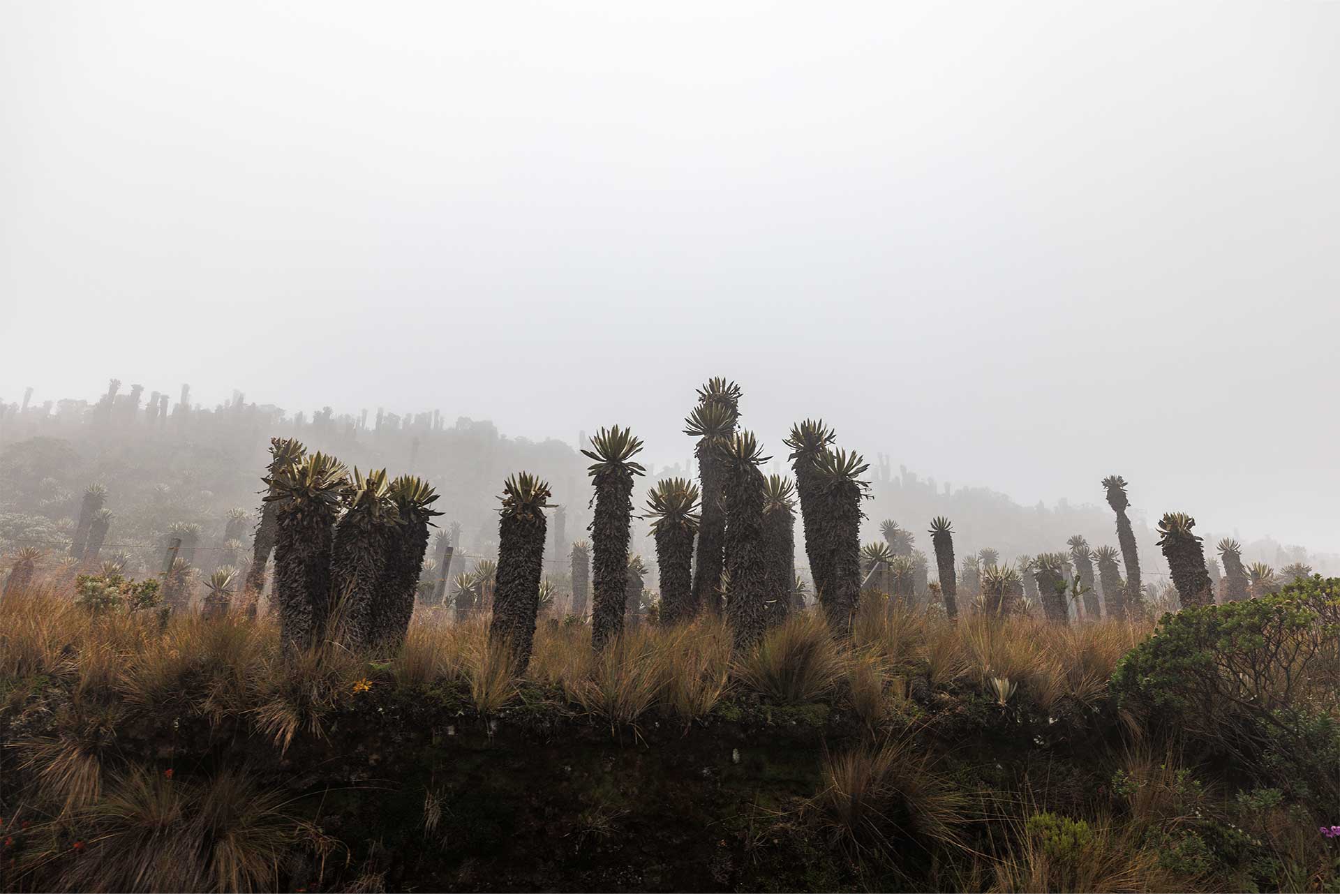 Fotos de la semana - Especiales Semana