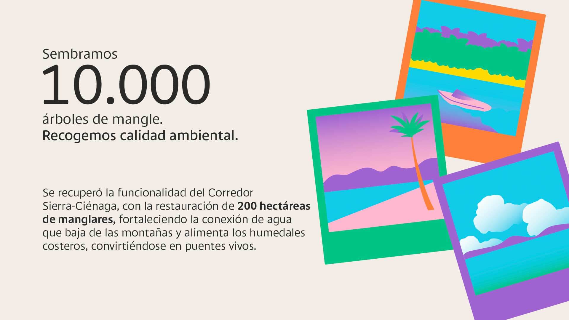 A través de la Línea de Economía Azul, Bancolombia desembolsó $603 mil millones para cuidar el mar