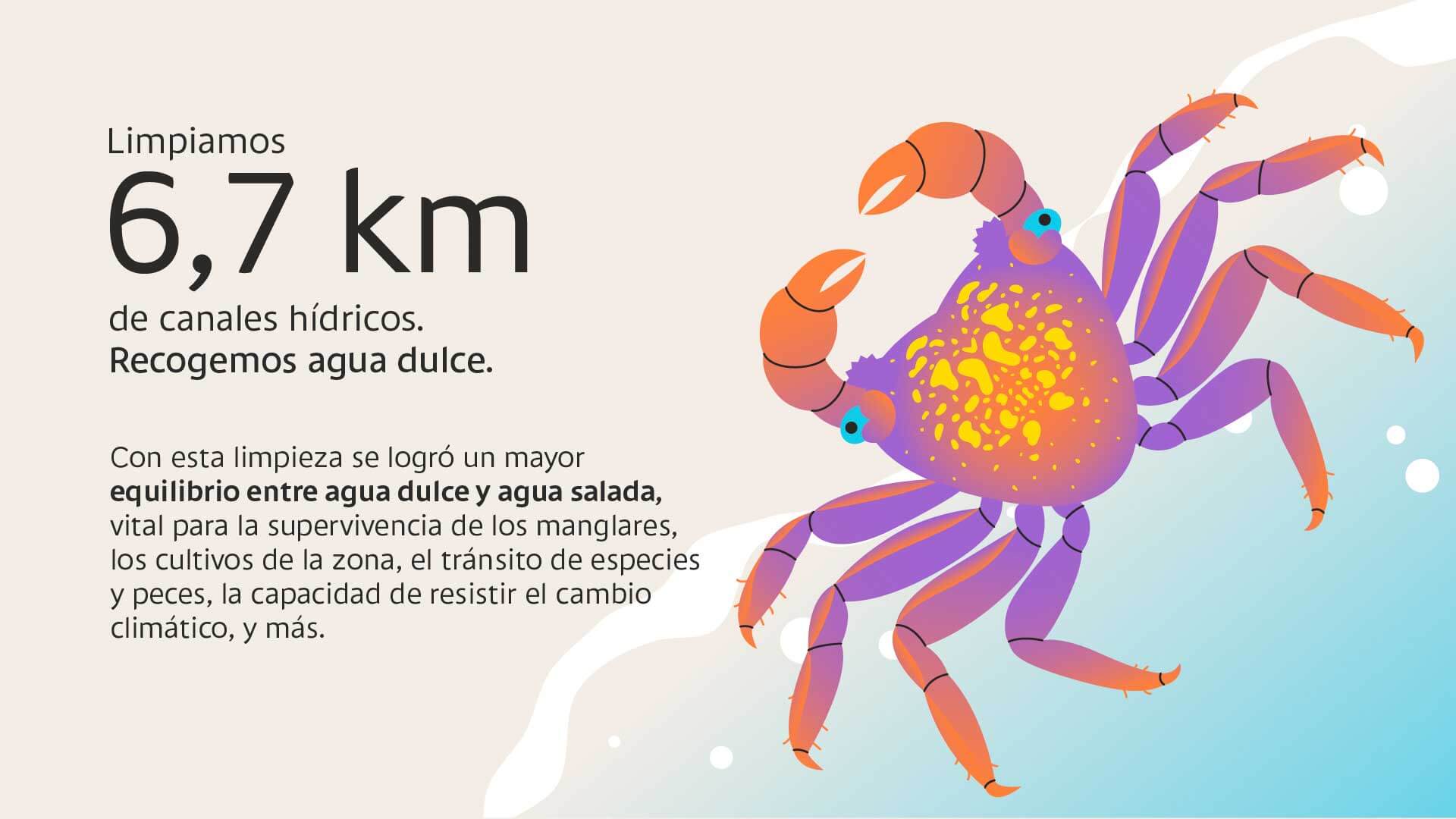 A través de la Línea de Economía Azul, Bancolombia desembolsó $603 mil millones para cuidar el mar