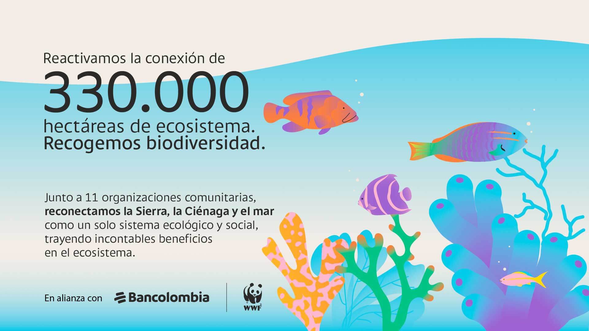 A través de la Línea de Economía Azul, Bancolombia desembolsó $603 mil millones para cuidar el mar