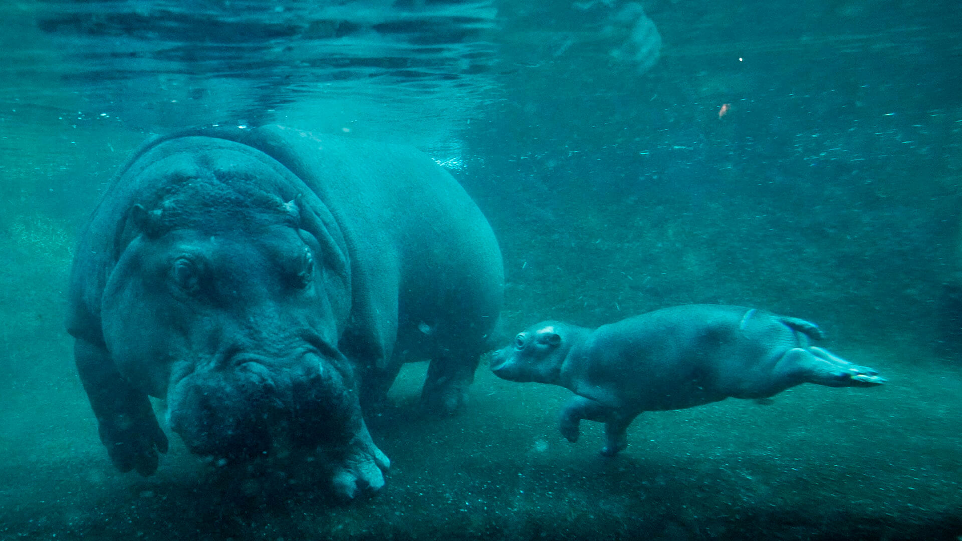 Fotos de la semana - Especiales Semana