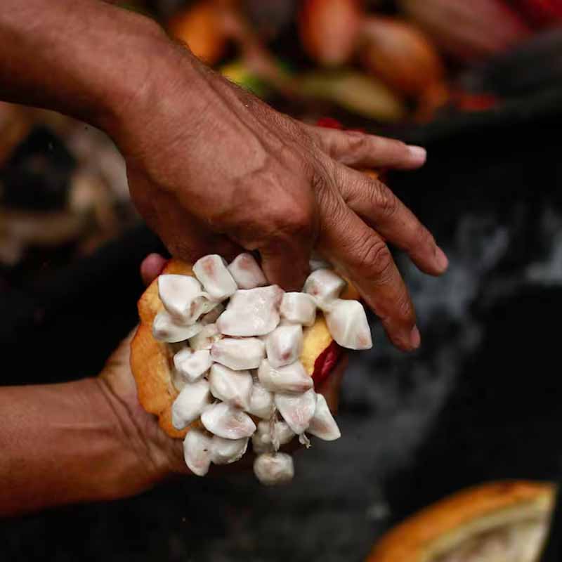 Villavicencio y Meta escriben una nueva historia 