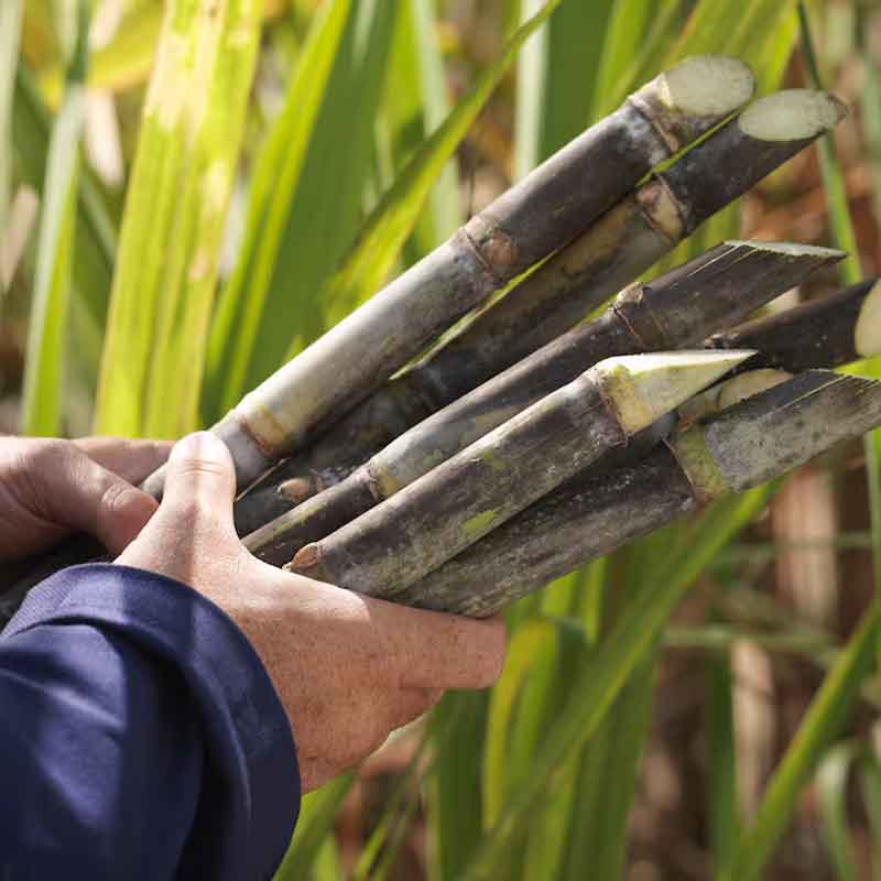 Villavicencio y Meta escriben una nueva historia 