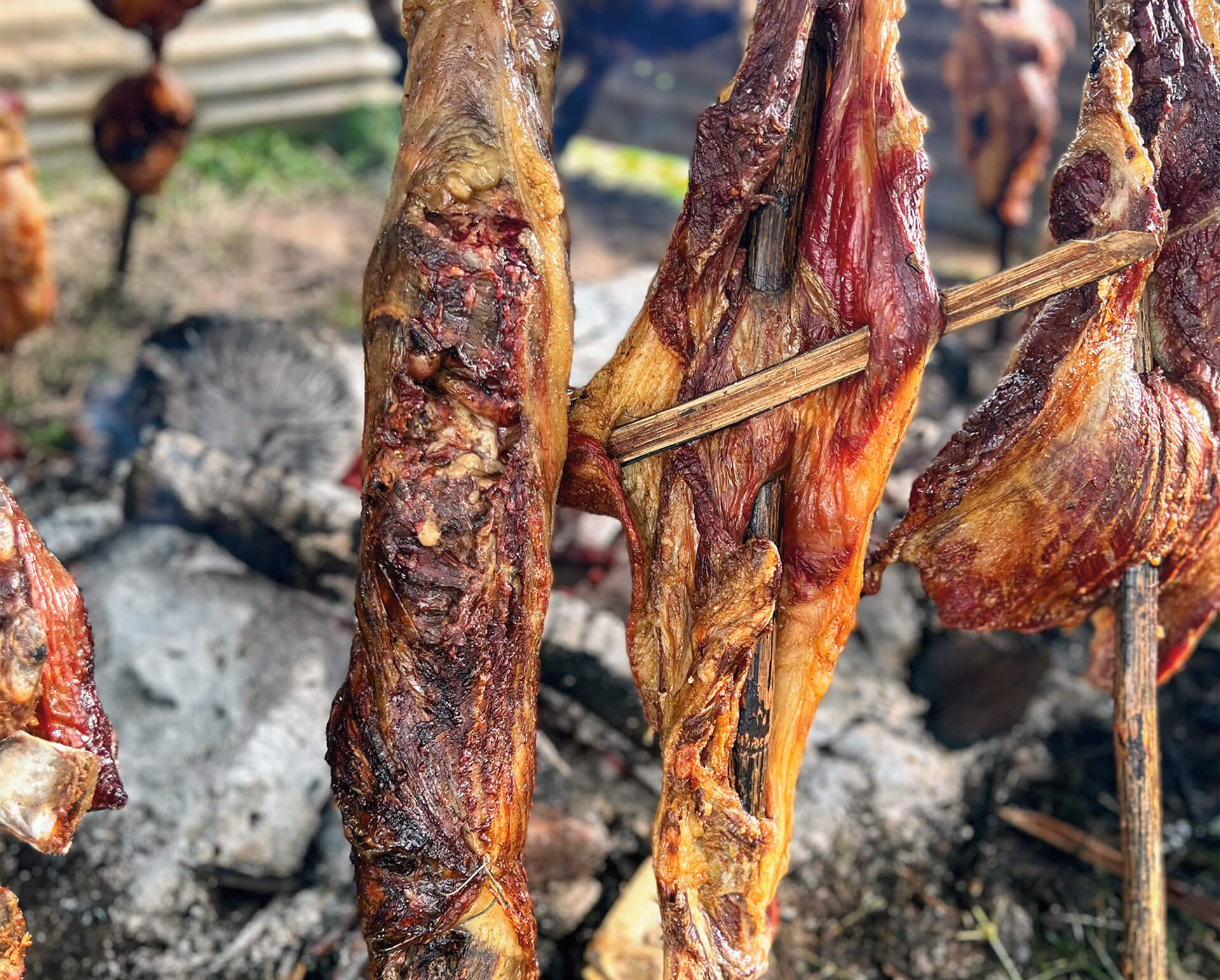 10 destinos imperdibles en el Meta: un viaje al corazón del Llano Especiales Semana