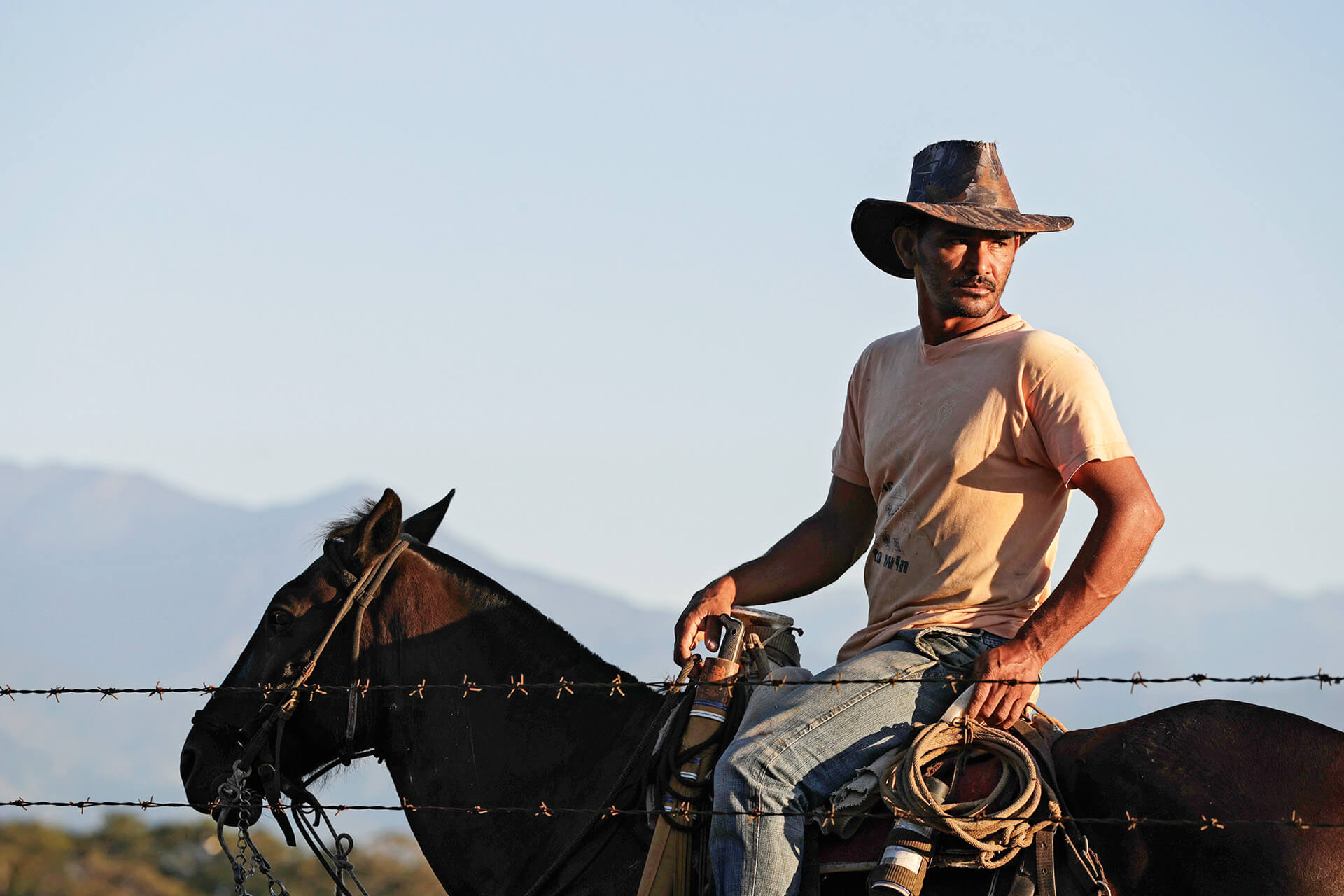 10 destinos imperdibles en el Meta: un viaje al corazón del Llano Especiales Semana