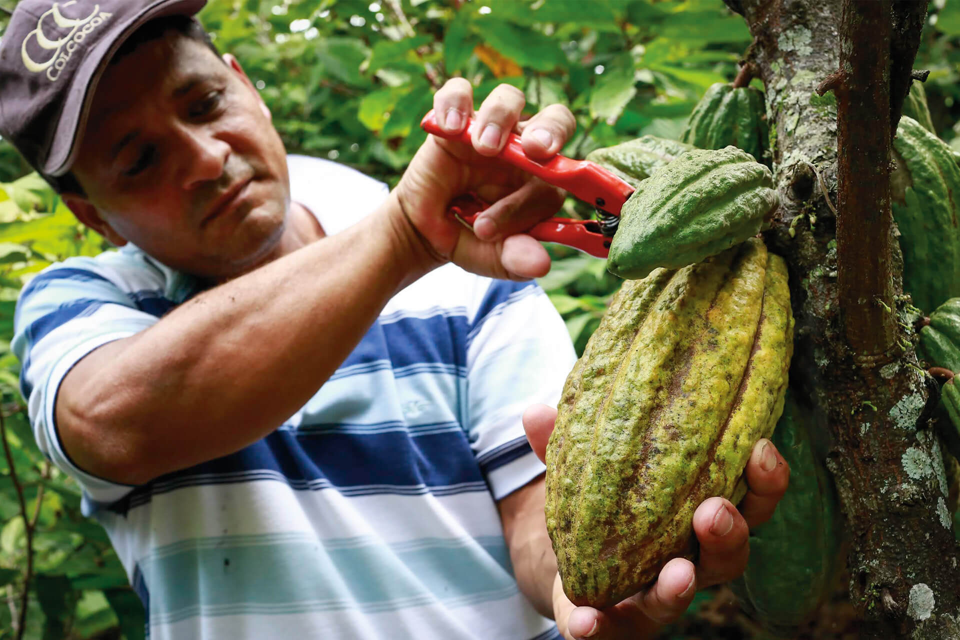 10 destinos imperdibles en el Meta: un viaje al corazón del Llano Especiales Semana