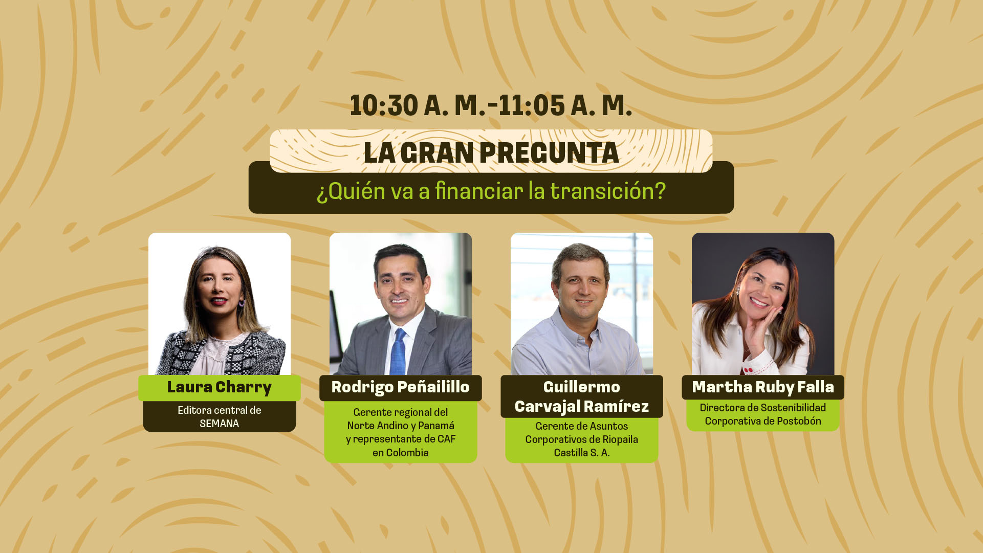 IX Cumbre de la sostenibilidad Transición para el desarrollo: 